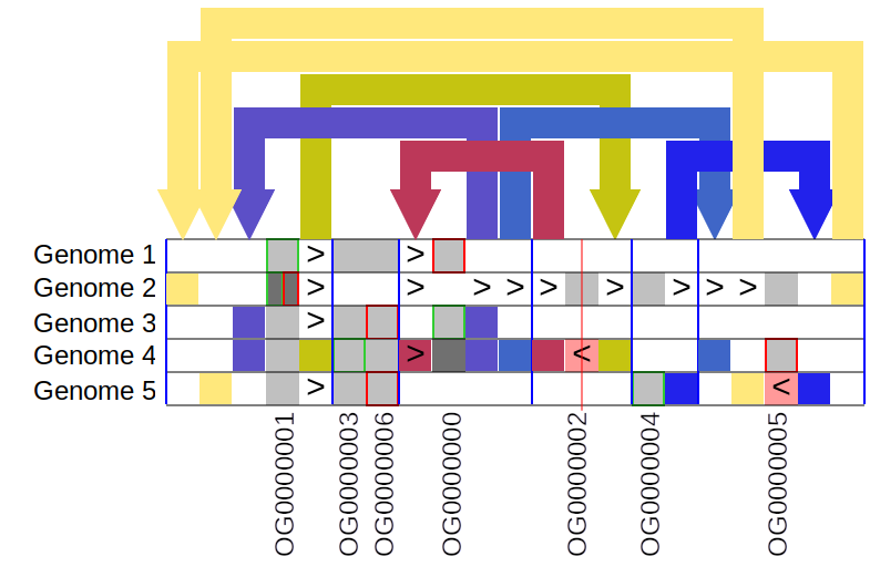 pygengraph – user_manual