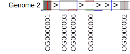Continuity with indels