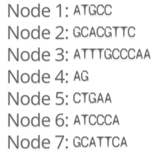 nucleotide nodes